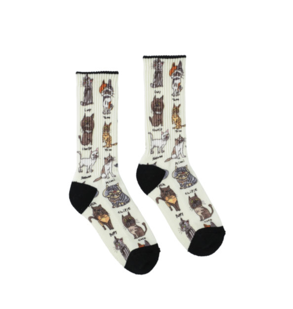CHI-BEE Socks Cat