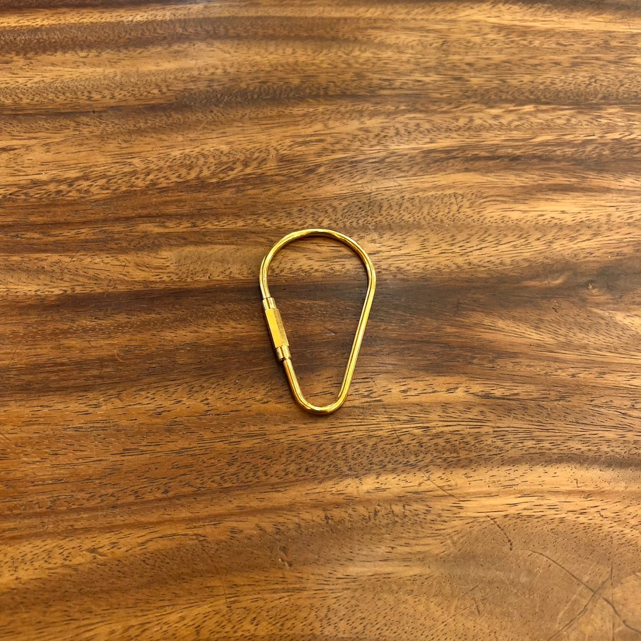 The Spectrum Carabiner