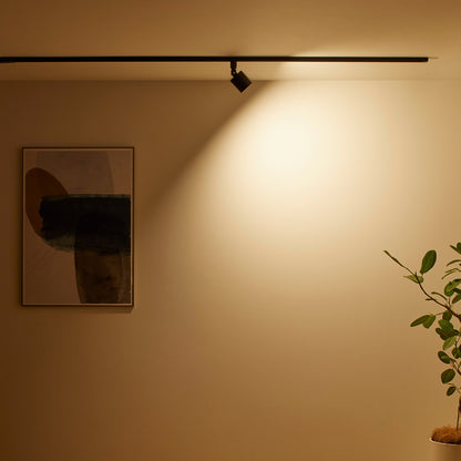 Grid - swingable duct down light