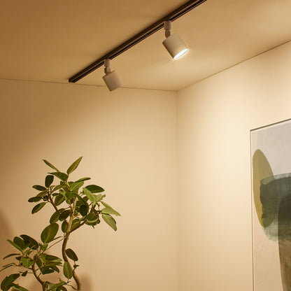 Grid - swingable duct down light