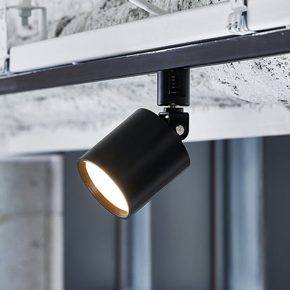 Grid - swingable duct down light