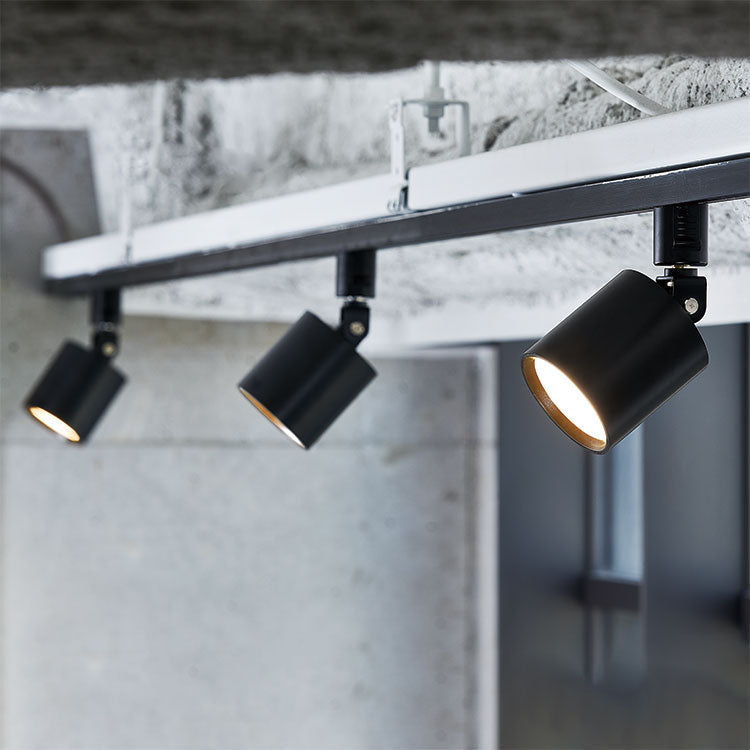 Grid - swingable duct down light