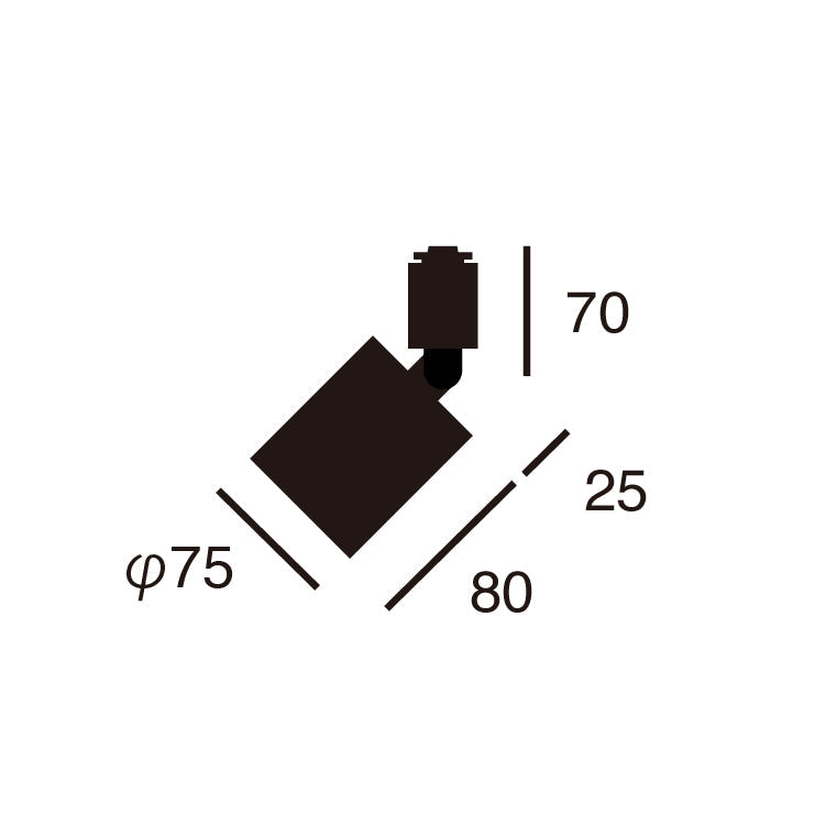 Grid - swingable duct down light