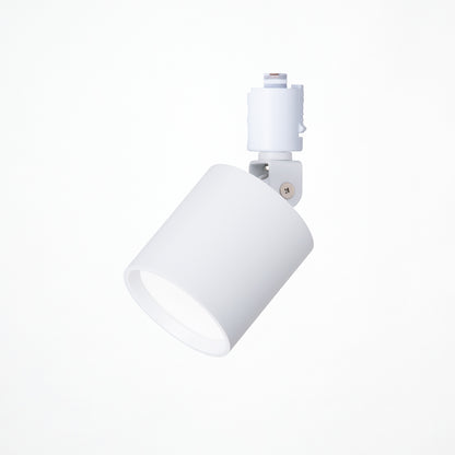 Grid - swingable duct down light