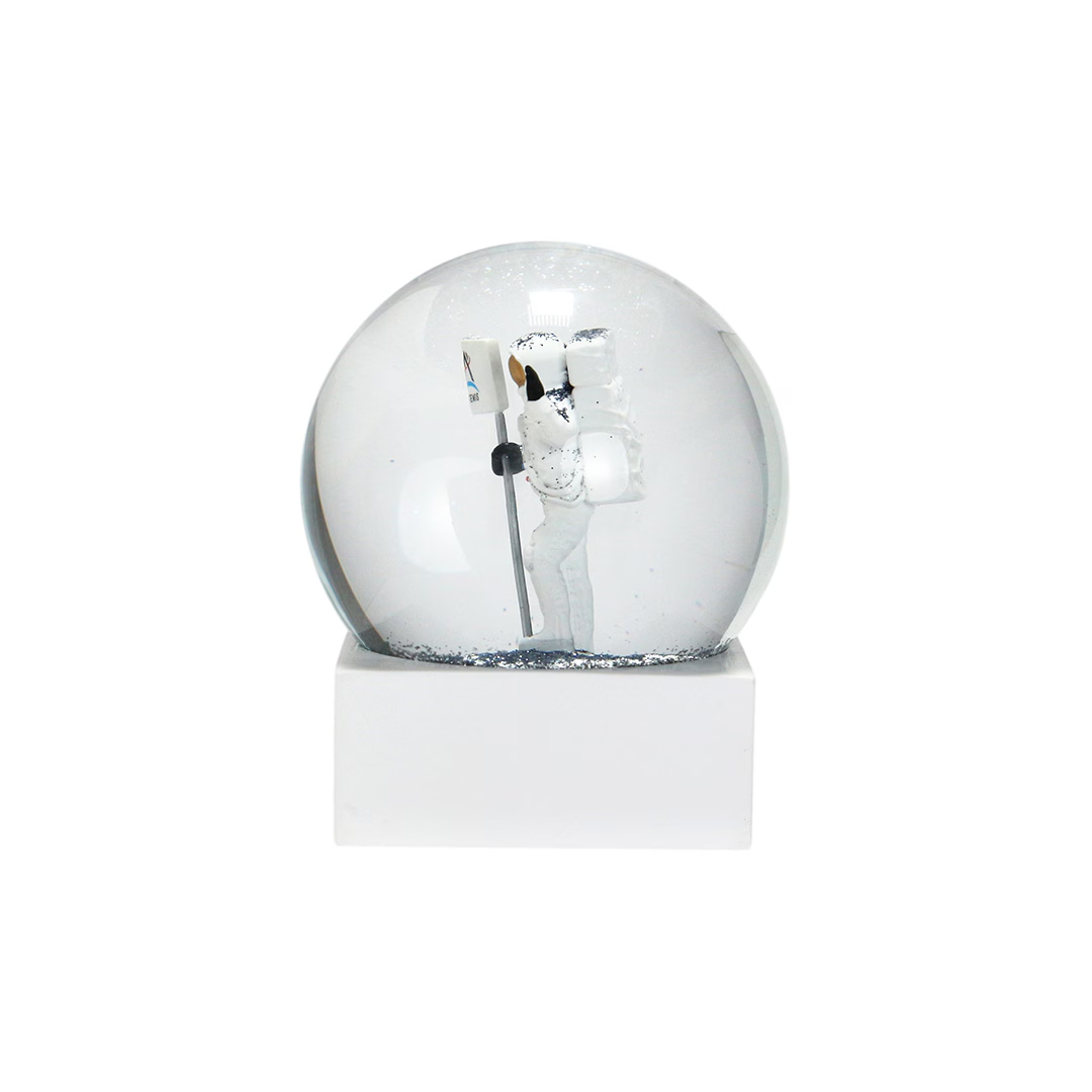 NASA SGLOBE