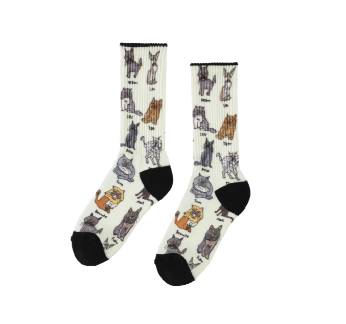 CHI-BEE Socks Cat