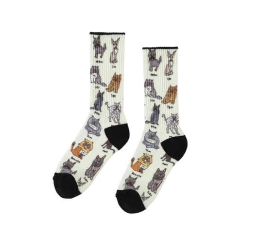 CHI-BEE Socks Cat