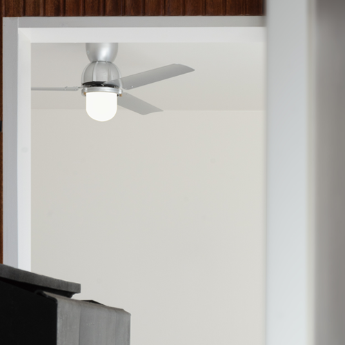ESSEN CEILING FAN