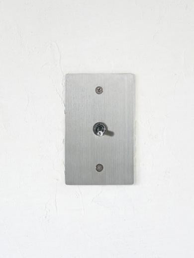 ステンレスプレート　スイッチ