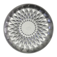 Hagen snowflake