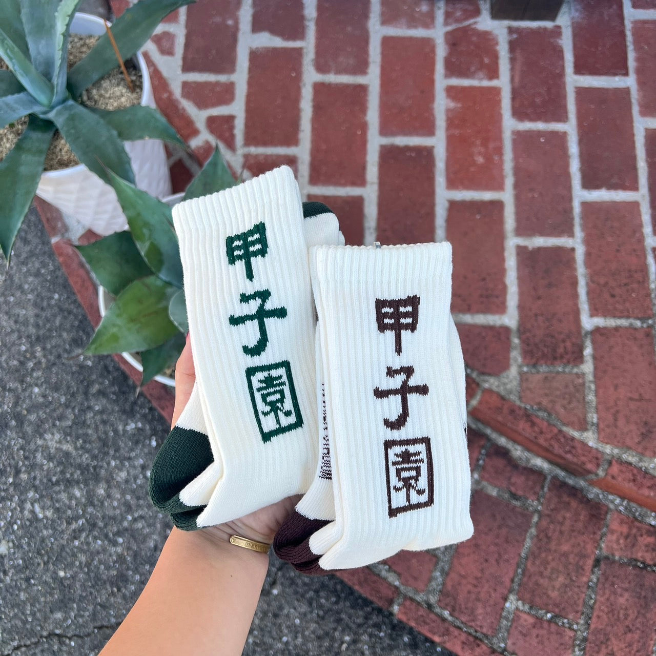 甲子園球場×JHANKSON　甲子園SOCKS