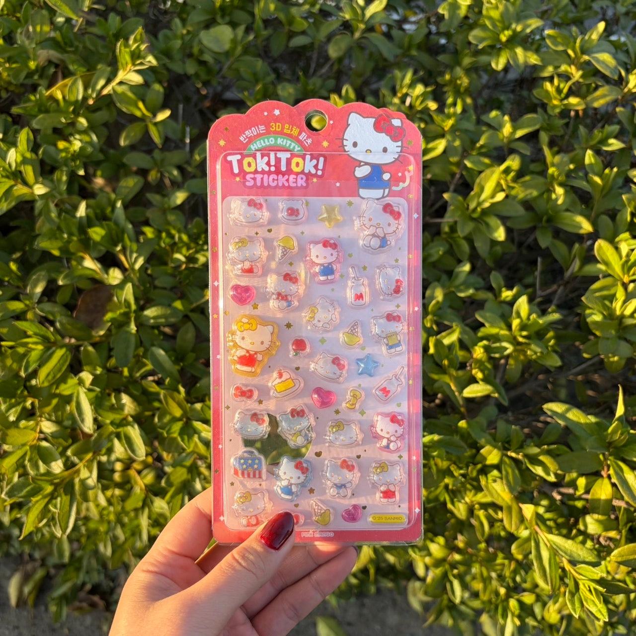 Sanrio sticker サンリオステッカー