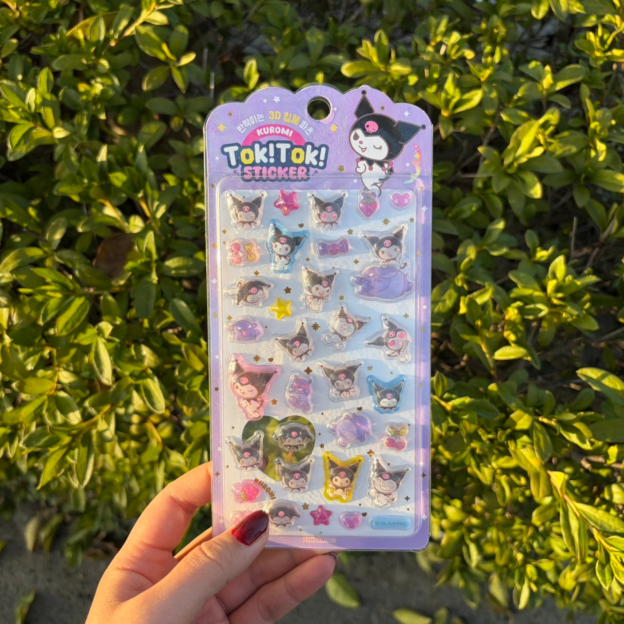 Sanrio sticker サンリオステッカー