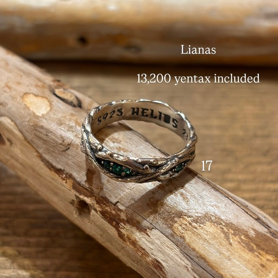 ［HELIOS］accessory ring