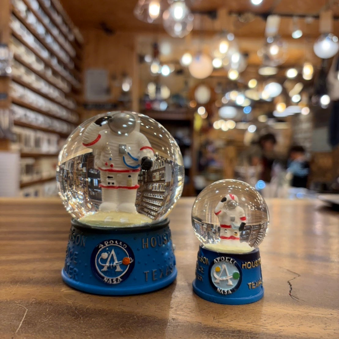 NASA SNOW GLOBE
