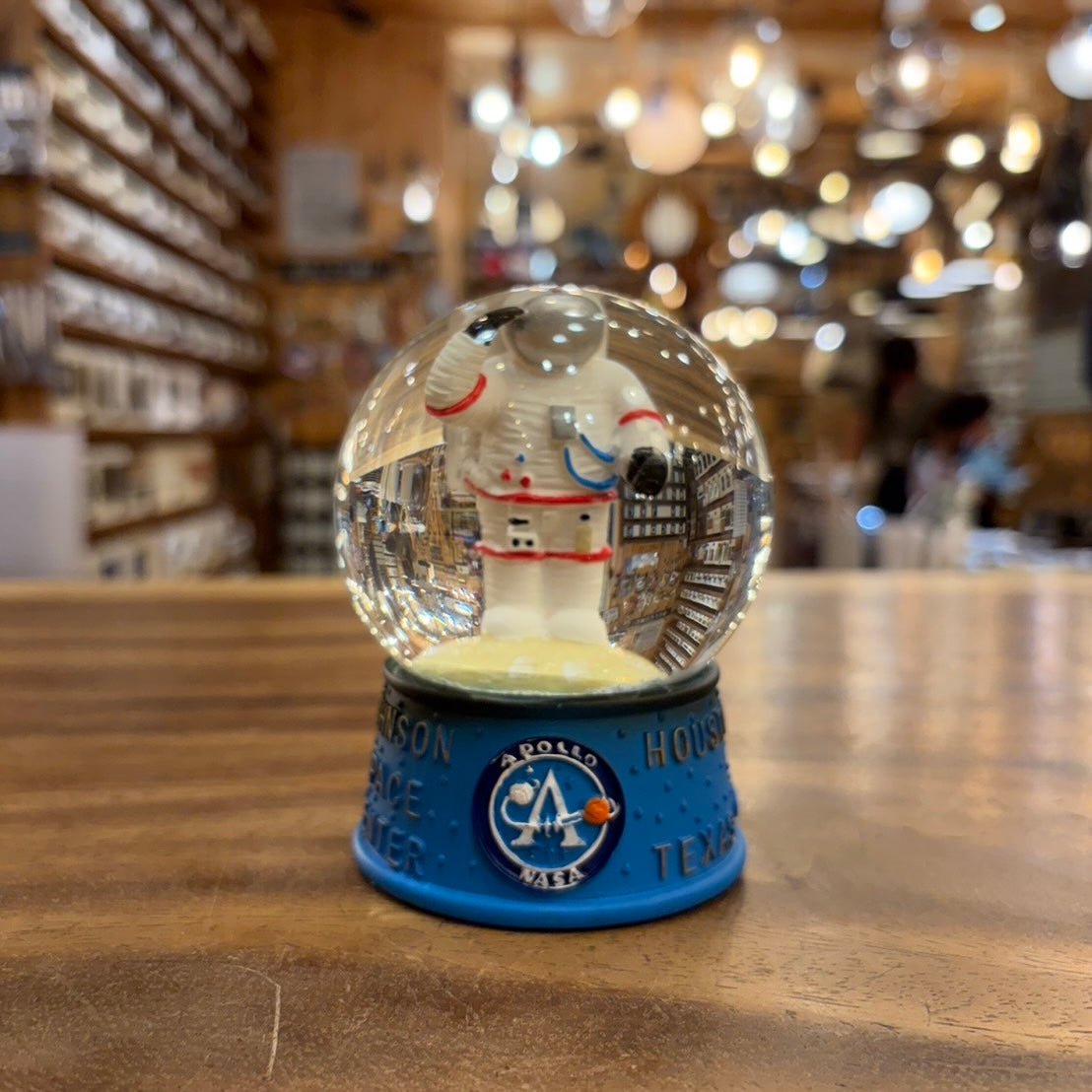 NASA SNOW GLOBE