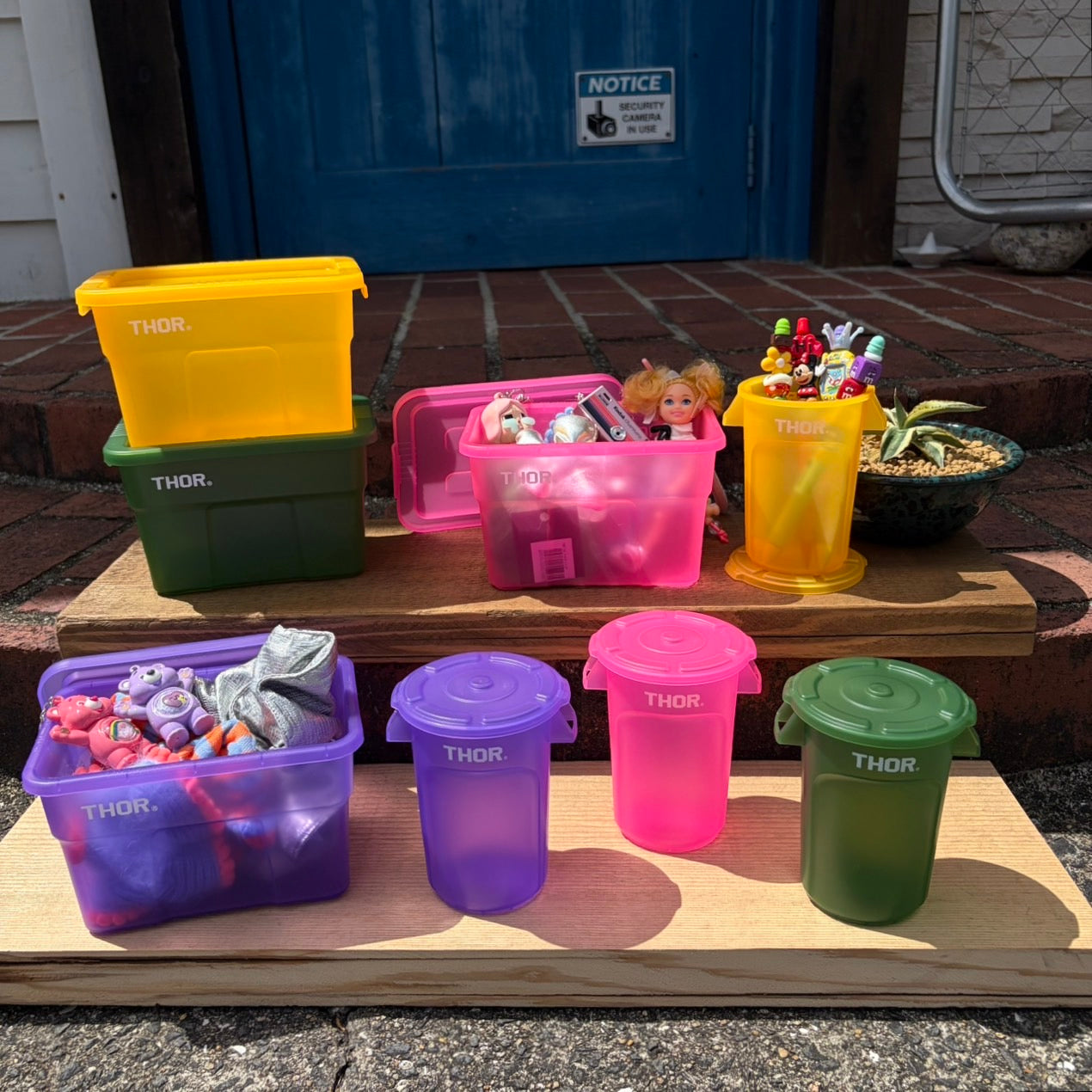 THOR Mini Totes With Lid DC Clear