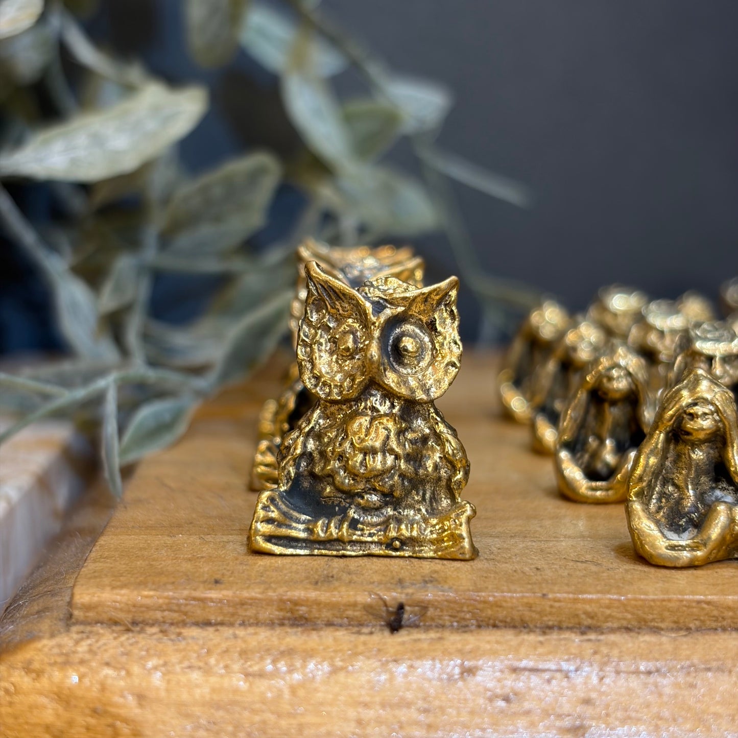 LUCKY BRASS